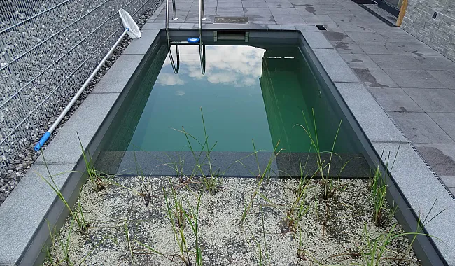 teichkoidlegidihof.jpg